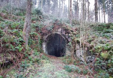 Tour Wandern Viroinval - Le Trou du Diable à Oignies en Thiérache - Photo