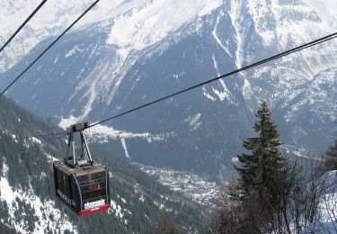 Tocht Te voet Chamonix-Mont-Blanc - Sentier des Gardes - Photo