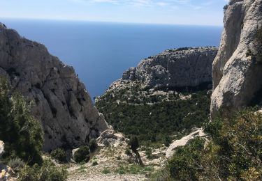 Tour Wandern Marseille - Vallon des Chalabran et des Rampes - Photo