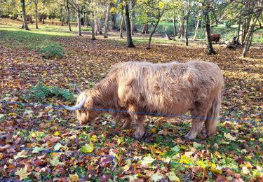 Tour Wandern Yerres - Rando Yerres Crosne Brunoy 12,5 km - Photo