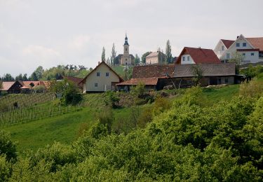 Randonnée A pied Kitzeck im Sausal - Kitzecker Weinwanderweg - Photo