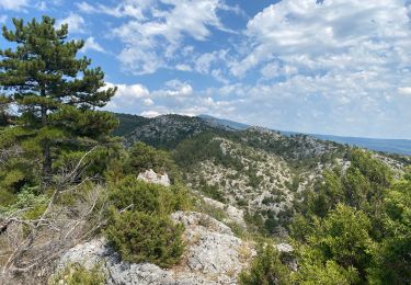 Tocht Stappen Bédoin - Rando plutôt difficile  - Photo