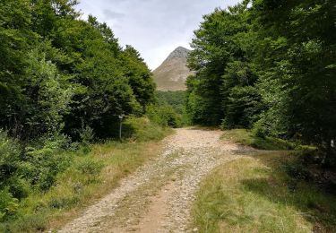 Randonnée Marche Laveissière - Font d'Alagnon - Photo