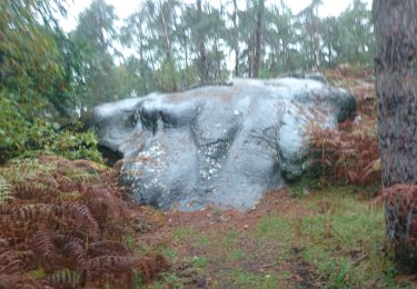 Trail Walking Fontainebleau - franchard 15 octobre 2022  - Photo