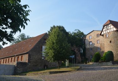 Trail On foot Roßleben-Wiehe - Galgenberg Rundweg Wiehe - Photo