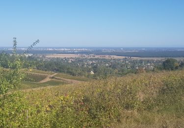 Trail Walking Givry - Russilly La Chaume - Photo
