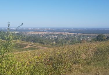 Tour Wandern Givry - Russilly La Chaume - Photo