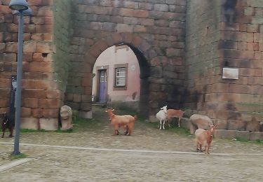 Percorso A piedi Castelo Mendo, Ade, Monteperobolço e Mesquitela - Castelo Mendo - Photo