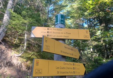 Tour Wandern Ubaye-Serre-Ponçon - S VINCENT LES FORTS . CANAL DE LA PISSE . FONTAINE DE LANE . FONTAINE DU LOIUP . O L S. NZ . - Photo