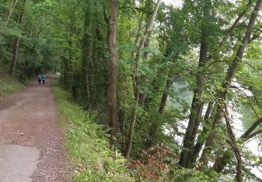 Trail Walking Saint-Martin-de-Fontenay - val de May - Photo