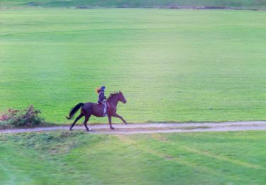 Trail Horseback riding Gesves - Gesves - Circuit B - Cavalier - Balisé - Photo