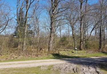 Tocht Te voet  - Åskov Hede - blå vandrerute - Photo