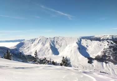 Tour Skiwanderen École - pointe des Arlicots - Photo