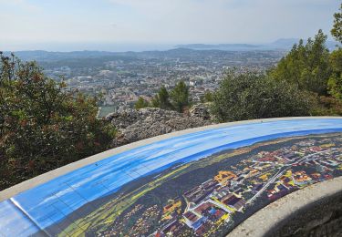 Excursión Senderismo La Farlède - De la farléde vers l'ozone à La Valette - Photo