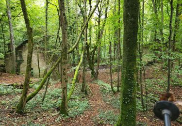 Trail Walking Pont-Saint-Vincent - Le chemin des mines - Photo