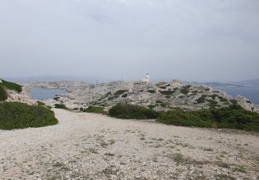 Trail Walking Marseille - Frioul Pomègues - Photo