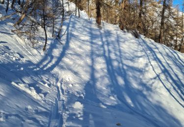 Trail Touring skiing Arvieux - col du crot col de la rousse - Photo