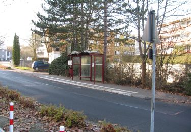 Percorso A piedi Idstein - Rund um Idstein - Photo