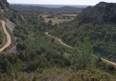 Trail Walking Les Baux-de-Provence - Balade Les Baux en Pvce - Photo
