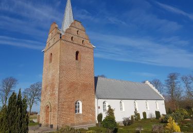 Excursión A pie  - Sporet ved Visby - Photo