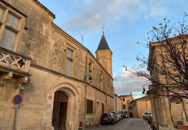 Tocht Stappen Montaud - Saint Drezery Montaut - Photo