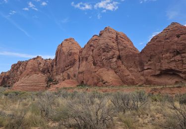 Tour Wandern  - 2024 Vermillon Cliffs Edmaiers trail - Photo