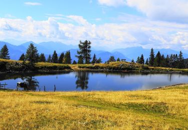 Randonnée A pied Feld am See - Wanderweg 180 Mirnock - Schwarzsee - Photo