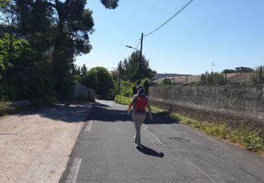 Tocht Stappen Montpellier - pharmacie d'Ô 19 mai - Photo