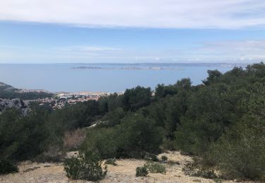 Tour Wandern Marseille - 115e Critérium des Calanques - 24 km (27 en réalité) - Photo