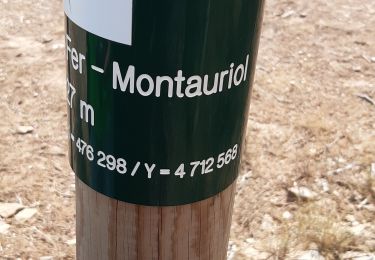 Trail Walking Oms - monta - Photo