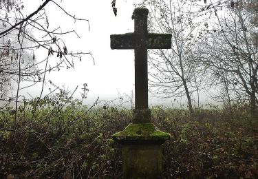 Tour Zu Fuß Zimmern ob Rottweil - Horgen-Ruinie Wildenstein - Photo