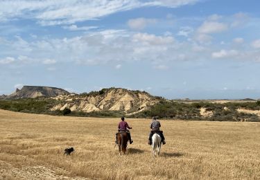 Trail Horseback riding Bardenas Reales de Navarra - Bardenas jour 5 - Photo