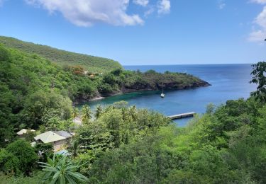 Trail Walking Les Trois-Îlets - Anse Mitan Anse Dufour - Photo