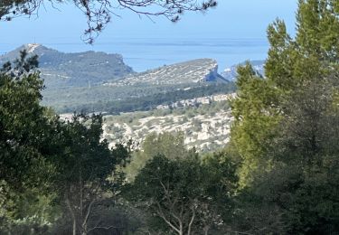 Tour Wandern Roquefort-la-Bédoule - Ceyreste  grand Caunet Roland - Photo