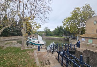 Randonnée Vélo de route Saint-Nazaire-d'Aude - Canal du midi étape 4 - Photo