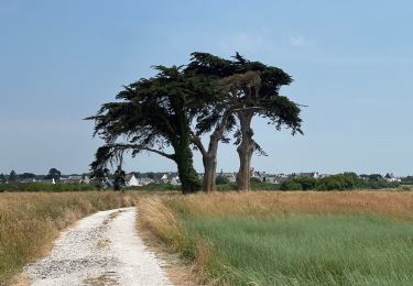 Tour Wandern Riantec - Île de Kernec - Photo