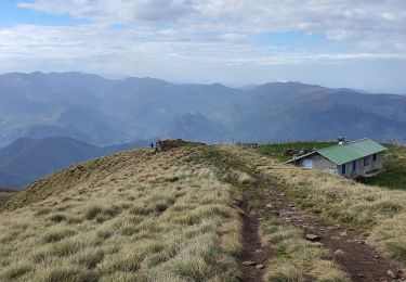 Randonnée Marche Mercus-Garrabet - fourcat 2.11.24 - Photo