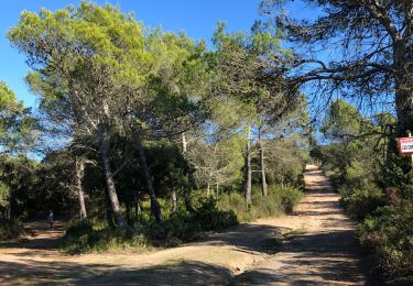 Trail Walking Saint-Raphaël - Essai les jardins  - Photo
