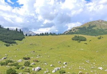 Tocht Stappen Marèo - Enneberg - Marebbe - DOLOMITES 03 - Refugio Sennes 2126 m - Photo