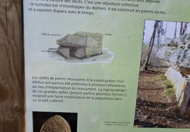 Excursión Bici de montaña Limogne-en-Quercy - circuit des Dolmens - Photo