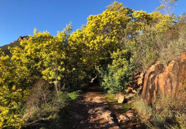 Trail Walking Saint-Raphaël - Cap Roux - Aurelle depuis la gare du Trays - Photo