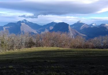 Excursión Marcha nórdica Seyssins - MN Haut de Seyssins  voie du tram - Photo