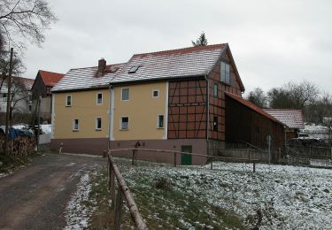 Tocht Te voet Hummelshain - Rundwanderweg Jagdfieber - Photo