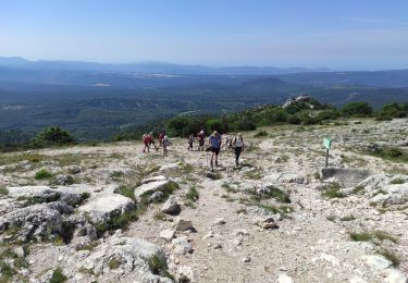 Excursión Senderismo Riboux - pic de Bretagne départ de Riboux - Photo