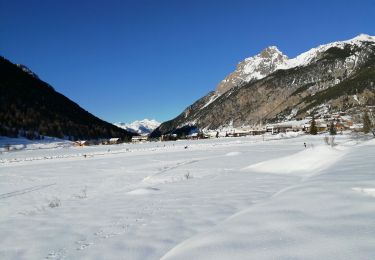 Tour Schneeschuhwandern Ceillac - CEILLAC  raquette  vallée du mélezet - Photo