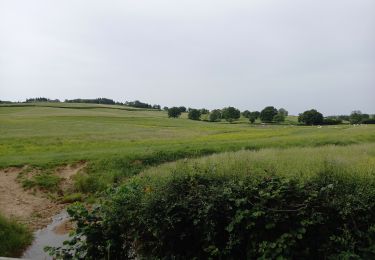 Tocht Stappen Saint-Romain-sous-Gourdon - st romain sous gourdon - Photo