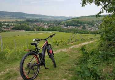Percorso Mountainbike Château-Thierry - Tour en vélo du 1er septembre 2021 - Photo