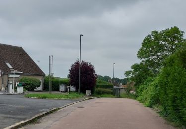 Tocht Stappen Perceneige - Villiers-Bonneux 240525 - Photo