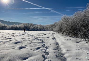 Randonnée Raquettes à neige Grande-Rivière-Château - Lac de l abbaye - Photo