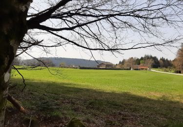 Tocht Stappen Le Val-d'Ajol - col du Peutet-Hérival-la Breuil20220414 - Photo